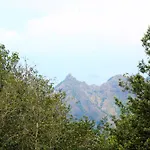 Monte *