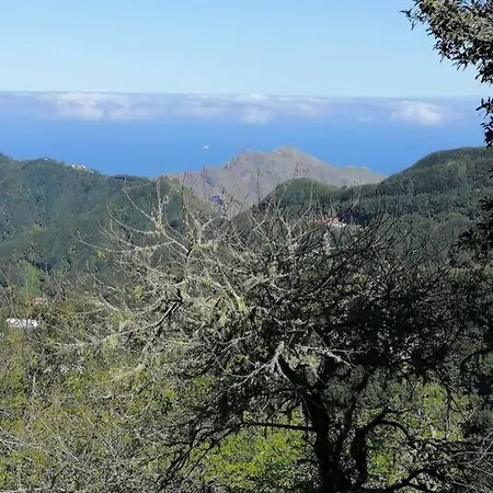Apartamento Monte
