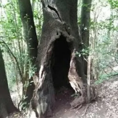 Monte Apartamento *