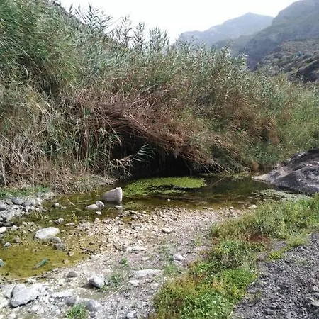 Lägenhet Monte