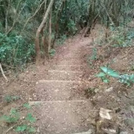 Monte
