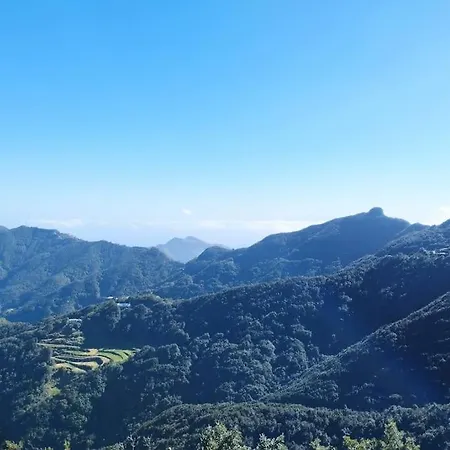 Monte