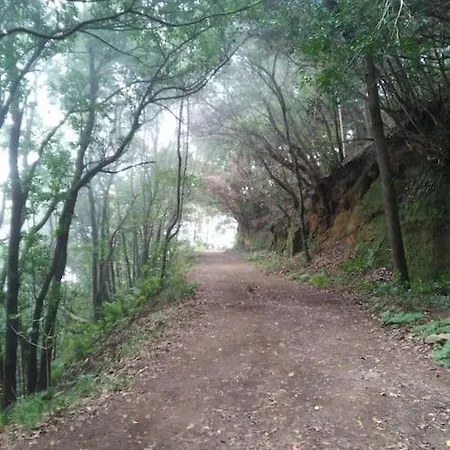 Monte * Chinamada