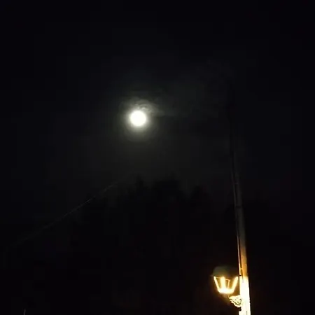 Monte
