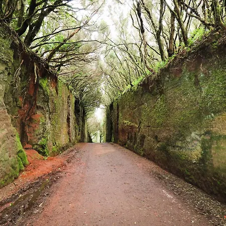 Monte Nyaraló Chinamada