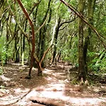 Monte Chinamada